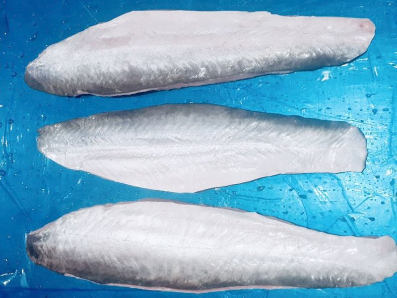 Pangasius fillets – skin on, Belly off, Fat off, NONE treatment